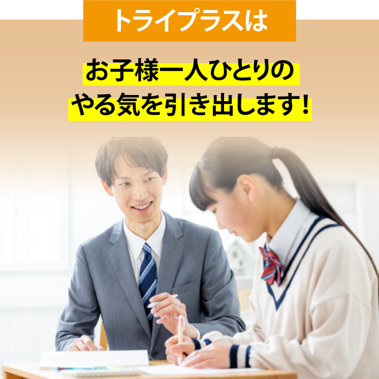 選ばれる理由